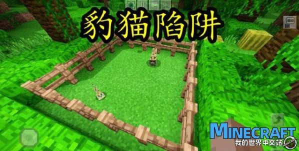 How does Minecraft Leopard Cat tame the model of Leopard Cat?