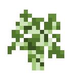 Minecraft白桦木树苗