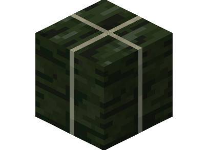 What is the use of Minecraft dry sea belt block?