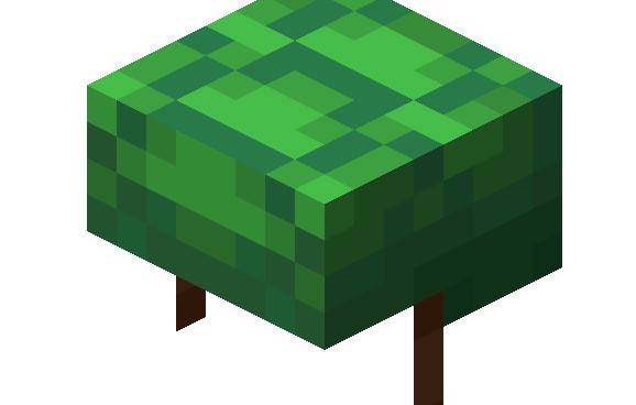 What is the use of Minecraft turtle shell?