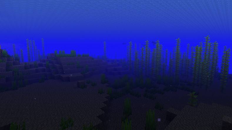 What is the use of Minecraft ocean?