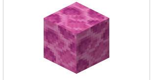 Minecraft coral block