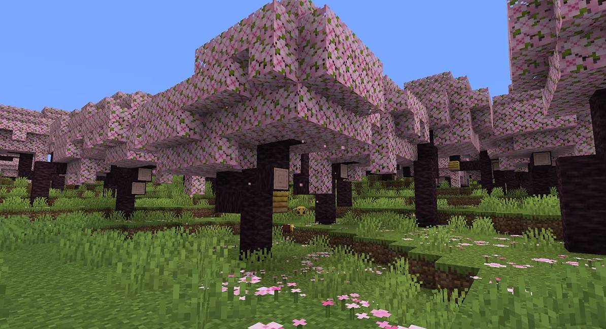 Minecraft1.20 will join the cherry blossoms and biological groups