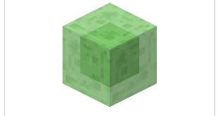 Minecraft mucus block