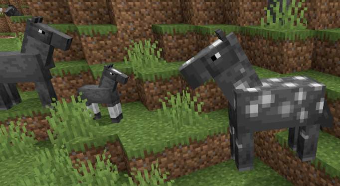 Minecraft biosphere column: horse