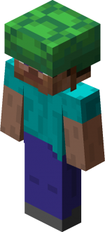 Steve in turtle shell.png