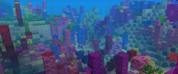 Minecraft group roaming: warm water ocean
