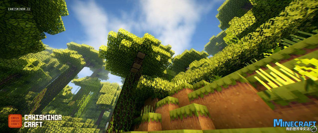 Minecraft1.11 CanisMinorCraft Remix material bag