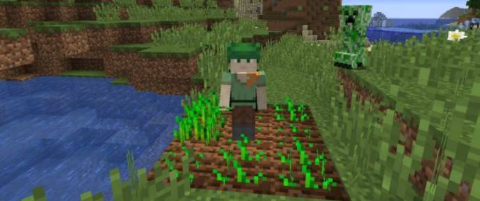 Minecraft backpack inventory: Seed