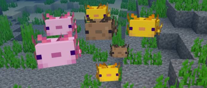 Minecraft base rock version of Beta 1.16.230.52 Published adds new creature Meixi