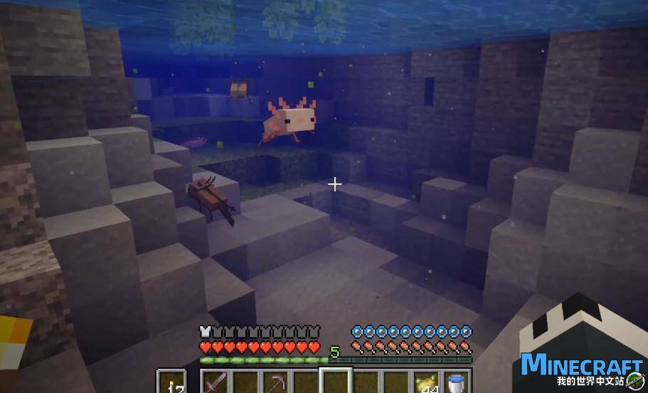 Minecraft new creature 蝾螈 exposure