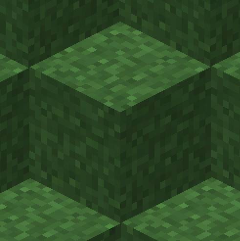 Minecraft1.21.1-1.19.3 Fast Better Grass