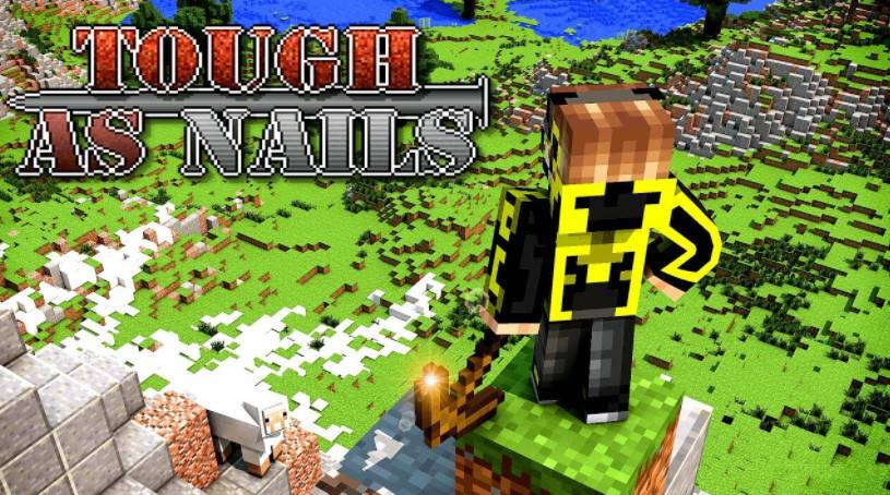 Minecraft 1.19-1.9.4 will firmly as nails mod