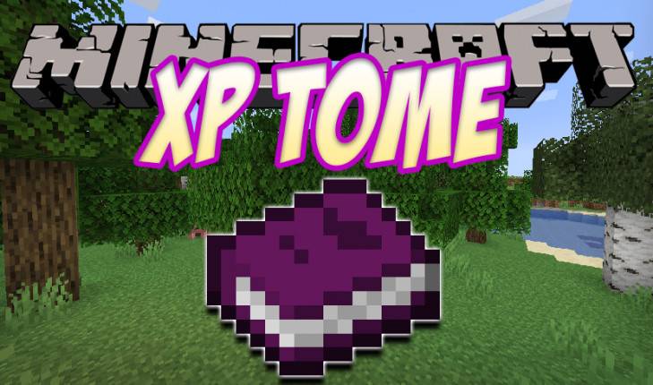 Minecraft1.16.5-1.12.2 Experience XP Tome Mod