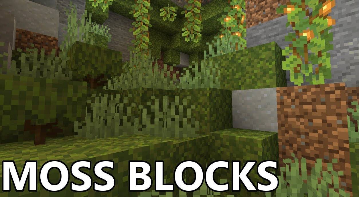 Minecraft this week block: moss