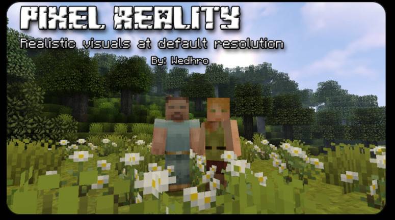 Minecraft1.17-1.12 Pixel Realty Pixel Reality Bag