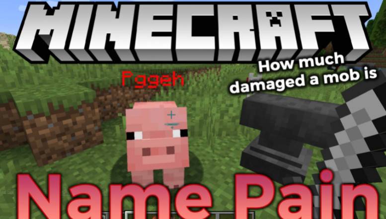 Minecraft1.17-1.12.2 Name Damage Name Pain Mod