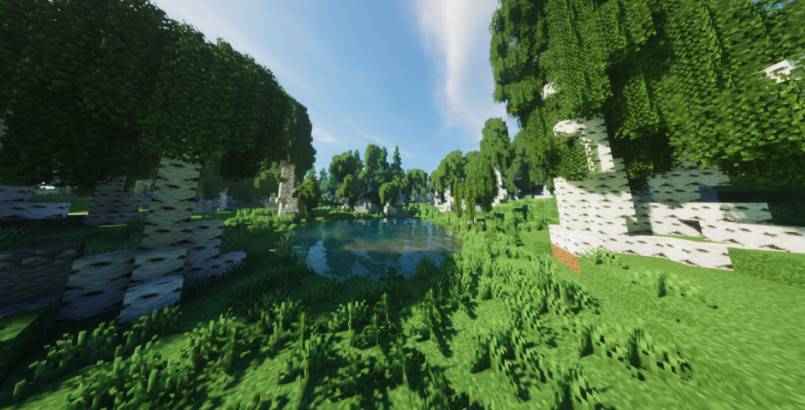 Minecraft1.21.1-1.13.2 MOTSCHEN's Better Leaves