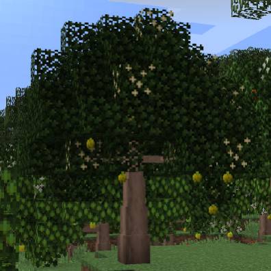 Minecraft1.12.2 Dynamic tree: Dynamic Trees -Cuisine Mod
