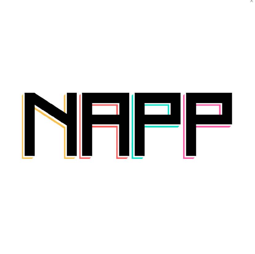 Minecraft1.16.5 NAPP material package