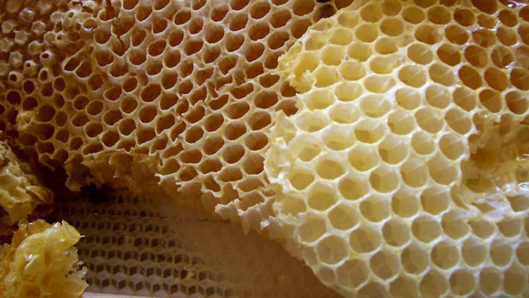 Minecraft this week block: honey spleen block