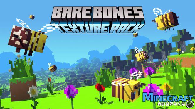 Minecraft1.1.15 Simple truth Bare Bones material bag